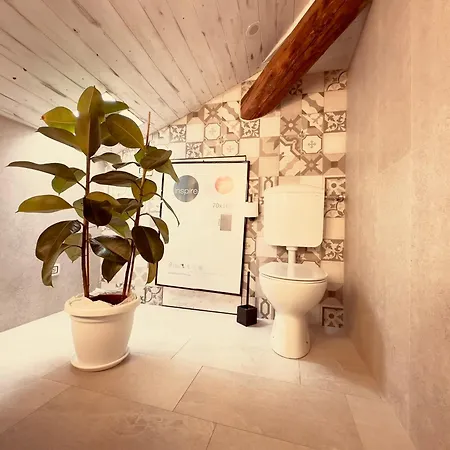 G-house Apartment
